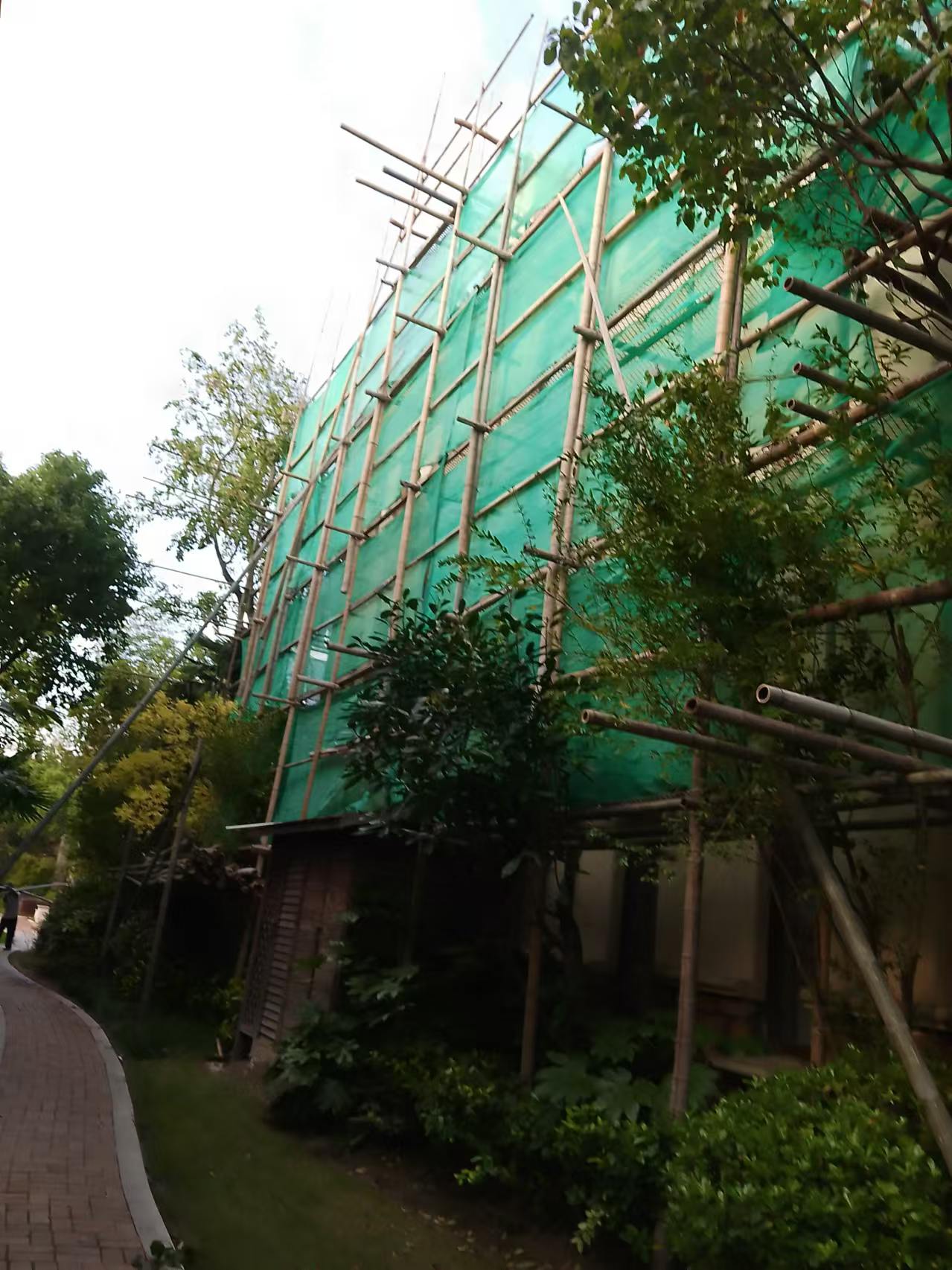 搭建毛竹脚手架安全快捷-别墅外墙装修好选择