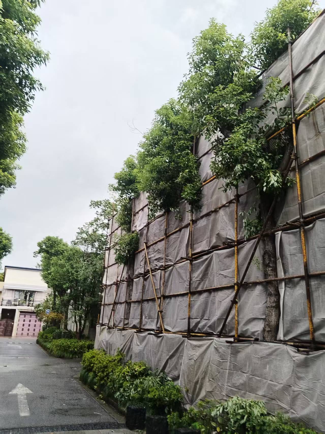 通过哪几点决定别墅外墙应该搭钢管架还是毛竹架呢？